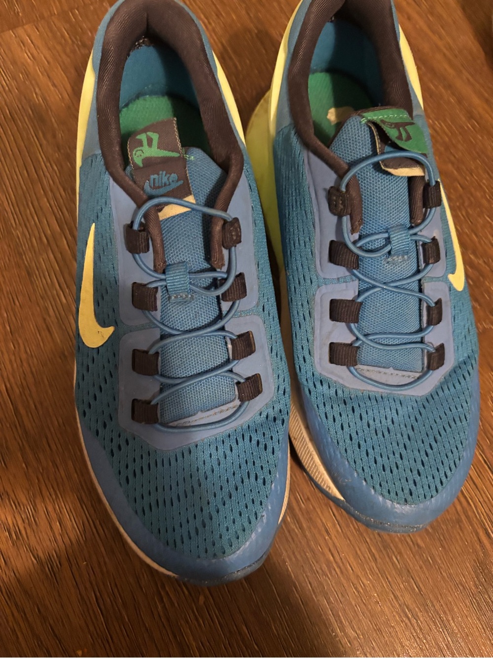 Nike Kids Blue and Green 270 Airmax Shoes